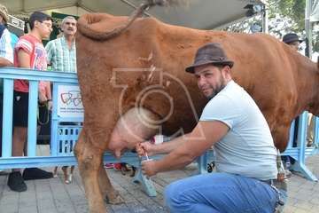 Día grande de las fiestas de Los Llanos 2018 (Foto Antonio Alí/Francisco Javier Santana, Jesús Ruiz y TA)